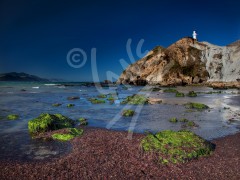 NEW ZEALAND Castle Point